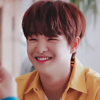 🐼 476f4c23 persona, sorriso, felice, ritratto, ragazzo telegram sticker