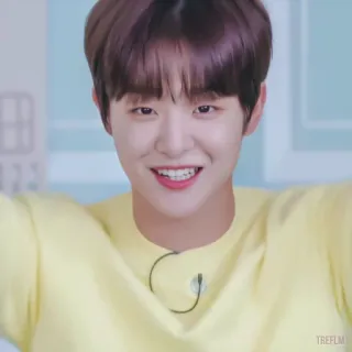 🐼 57d40619 telegram sticker