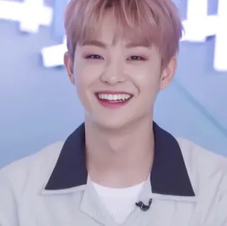 🐼 73284b1a telegram sticker