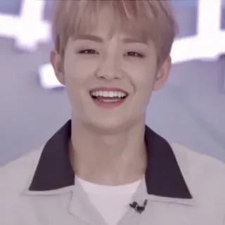 🐼 982e1d9e telegram sticker