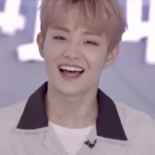 🐼 c207f9a4 telegram sticker