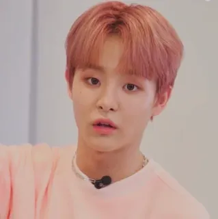 🐼 d47ec83c telegram sticker