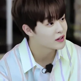 🐼 dd3447be telegram sticker