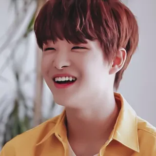 🐼 ee0abb2d ritratto, sorriso, persona, felice, uomo, ragazzo telegram sticker