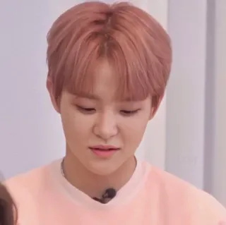 🐼 f1c77175 telegram sticker