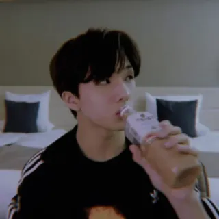 🦅 9a3d1d79 whatsapp sticker