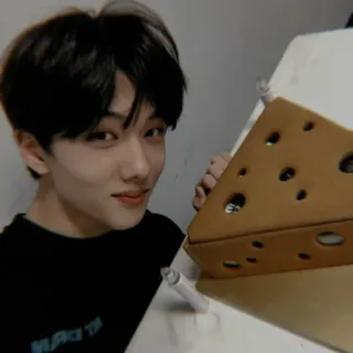 🦅 a70a1db8 personne, fromage, nourriture, asiatique, coréen, portrait, souriant whatsapp sticker