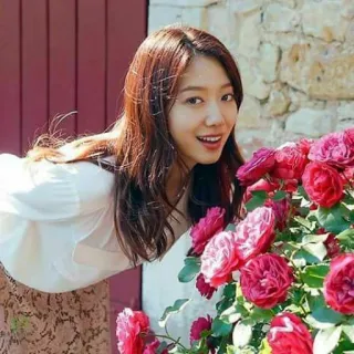 🌷 08ac449f Park Shin-hye Park Shin-hye, atriz, flores, retrato, coreana, celebridade whatsapp sticker
