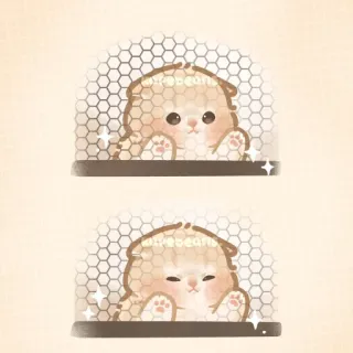 ✨ bd943a61 猫, 可愛い, ステッカー, 動物, ペット telegram sticker