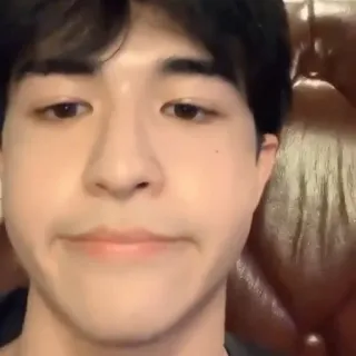 🌟 2b05f1c4 Mann, Gesicht, Selfie, Porträt, Person, Asiat, Männlich, Kopfschuss telegram sticker