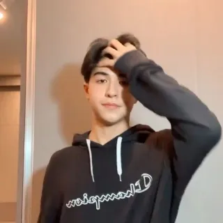 🌟 9be359ad Person, Mann, Kapuzenpullover, Champion, Drinnen, Teenager telegram sticker