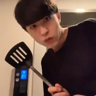 🌟 d3147efc telegram sticker