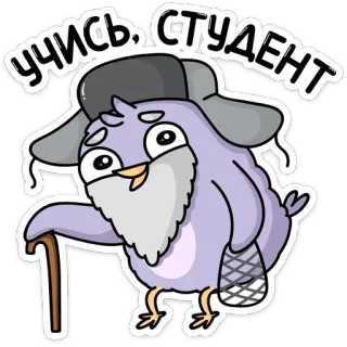 👴 4a71a970 УЧИСЬ, СТУДЕНТ Vogel, Student, Hut, Gehstock, süß, Cartoon telegram sticker