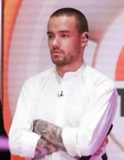 🌸 282fe59a Liam Payne Liam Payne, muzyk, celebryta, One Direction, piosenkarz whatsapp sticker