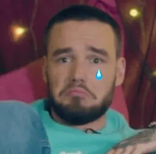 🌸 28928761 Liam Payne Meme, Smutny, Płacz, Gwiazda, Emocjonalny whatsapp sticker
