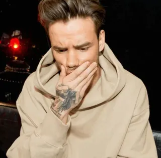 ✨ 521d4a33 Liam Payne celebryta, osoba, bluza z kapturem, mężczyzna whatsapp sticker