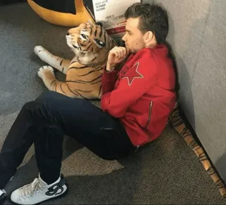 ✨ 5a2d374f whatsapp sticker