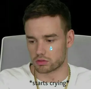 🌸 88282ed9 *starts crying* płacz, smutny, zdenerwowany, emocjonalny, mem whatsapp sticker