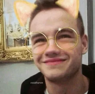 🌸 ebccc244 voidhorvn Selfie, Portret, Kocie uszy, Okulary, Filtr whatsapp sticker