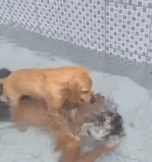 Больше стиков тут: @stikery4 telegram stickers