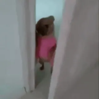 👑 9c44f1af telegram sticker