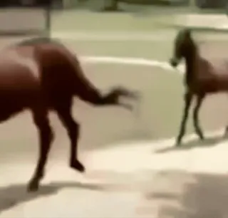 Больше стиков тут: @stikery4 whatsapp stickers