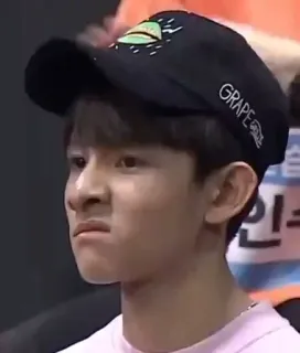 pd101 whatsapp stickers