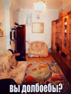 🤑 417338f6 вы долбоебы? sỉ nhục, câu hỏi, meme, lăng mạ telegram sticker