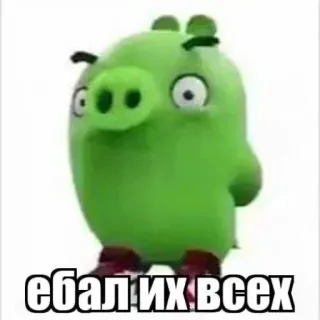🤑 bf242178 ебал их всех angry birds, con lợn, xúc phạm, nga telegram sticker