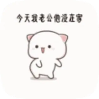 💃 05b55327 今天我老公他没在家 кот, милый, текст, стикер, мультфильм whatsapp sticker