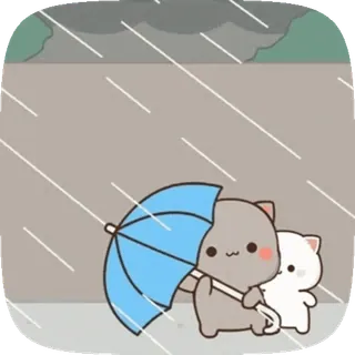 ☂ 44b0d805 кошки, дождь, зонт, милый, мультфильм whatsapp sticker