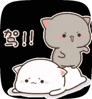 😤 728eb1b9 骂！！ кот, милый, животное, наклейка whatsapp sticker
