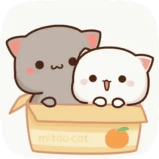 💫 7b995d68 mitoo cat кот, коты, мультфильм, кавай, животное, коробка, милый whatsapp sticker
