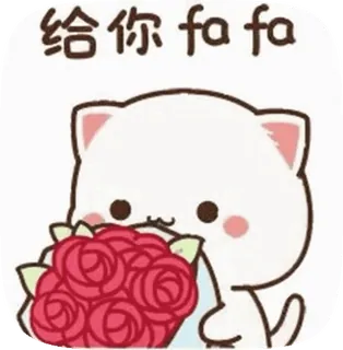 😘 890cc111 给你 fa fa кот, цветы, букет, милый, розы whatsapp sticker