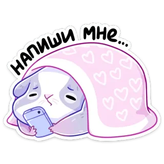 😔 2fb60328 Напиши мне... 豚鼠, 悲伤, 孤独, 毯子, 等待, 困倦, 动物 telegram sticker