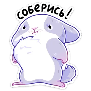 😔 6b0d4cea Соберись! 兔子, 励志, 生气, 卡通, 动物, 可爱, 决心 telegram sticker