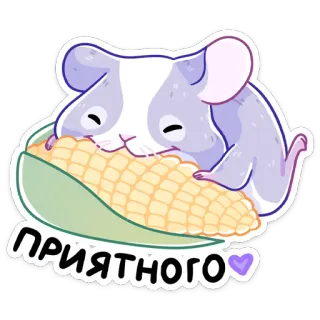 😔 910c7cb3 ПРИЯТНОГО 仓鼠, 玉米, 吃, 可爱, 动物, 啮齿动物 telegram sticker