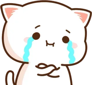 😭 21b94d69 gato, chorando, triste, fofo, emoji whatsapp sticker