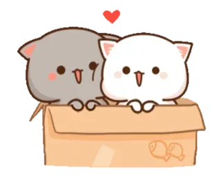 📦 4350f2fd кошки, коробка, милые, мультфильм, любовь, животные, сердце telegram sticker