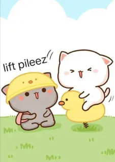 😎 120577dc lift pileez cat, cute, duck, cartoon, kawaii telegram sticker
