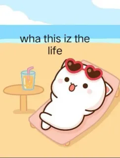 😎 16d8f50f wha this iz the life cat, beach, summer, cartoon, cute, sunbathing, life telegram sticker