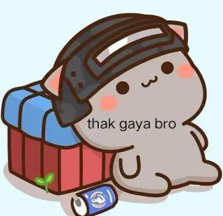 😂 477e3092 thak gaya bro cat, cartoon, helmet, box, sticker, bro telegram sticker