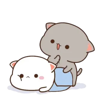 ❤️ a9c9ba80 кот, коты, милый, стикер whatsapp sticker