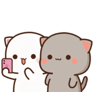 ❤️ a59a9337 고양이, 고양이들, 귀여운, 커플, 복숭아 고양이, 모찌, 고양이 셀카 telegram sticker