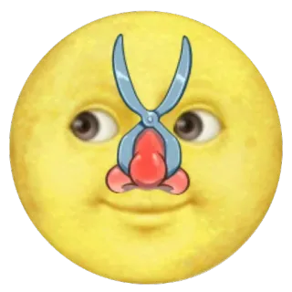 🔌 bdcd0661 lua, nariz, engraçado, emoji, rosto, desenho animado whatsapp sticker