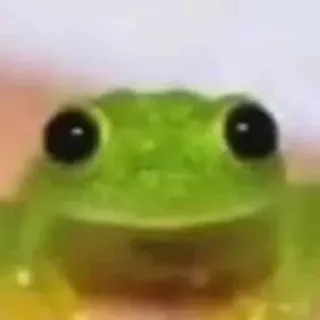 🐸 5d40de6c カエル, 動物, 自然, 緑, 両生類 telegram sticker