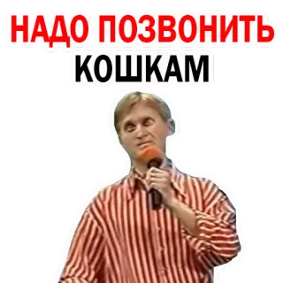 🐱 898acf26 НАДО ПОЗВОНИТЬ КОШКАМ chiamata, gatto, uomo, microfono, rosso, bianco, camicia telegram sticker