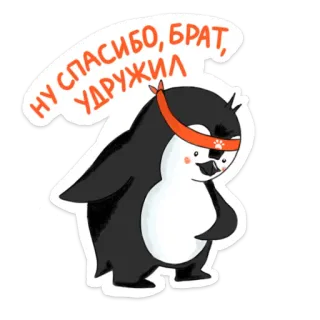 🙏 1a04d540 НУ СПАСИБО, БРАТ, УДРУЖИЛ Pinguin, Cartoon, Danke, Bruder, Russisch, Sticker telegram sticker