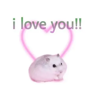 🐹 75de2931 i love you!! ハムスター, 愛, ハート, かわいい, 動物, ペット telegram sticker