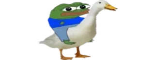 🦆 a4f72600 Pepe the Frog Pepe, rana, meme, anatra telegram sticker